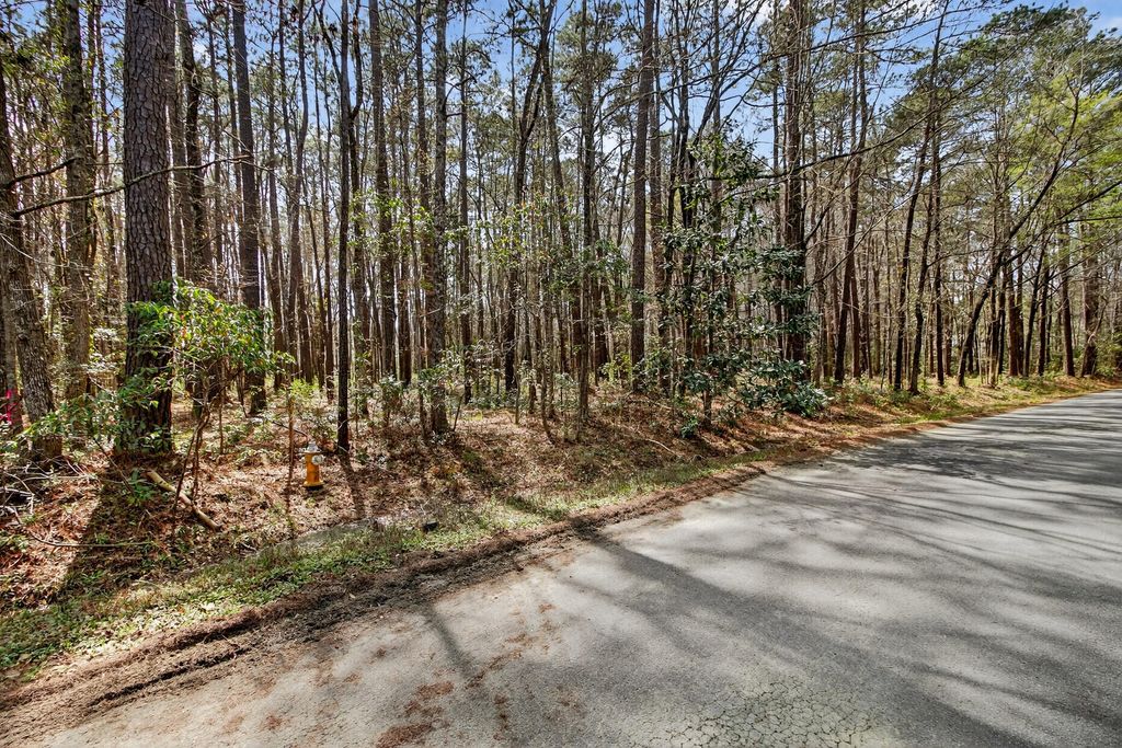 Photo of 103 Caveson Drive, Summerville, SC 29483 (MLS # 26006851)