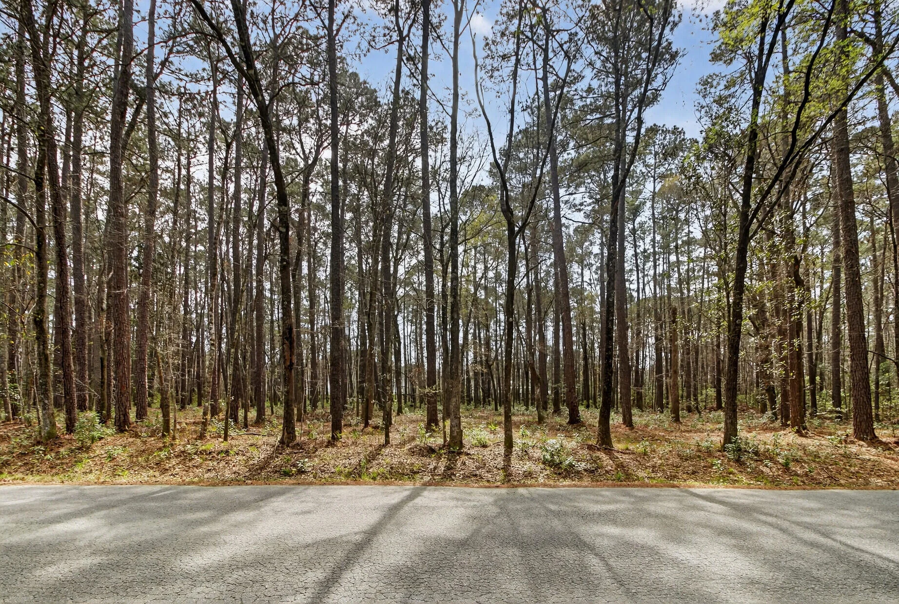 103 Caveson Drive