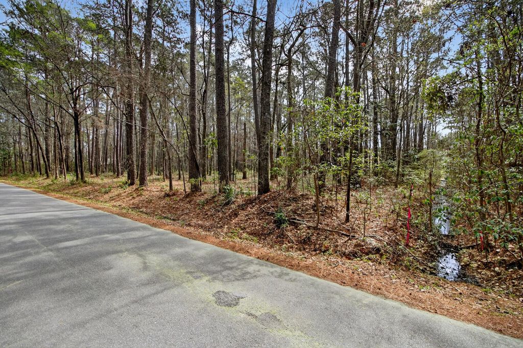 Photo of 103 Caveson Drive, Summerville, SC 29483 (MLS # 26006851)