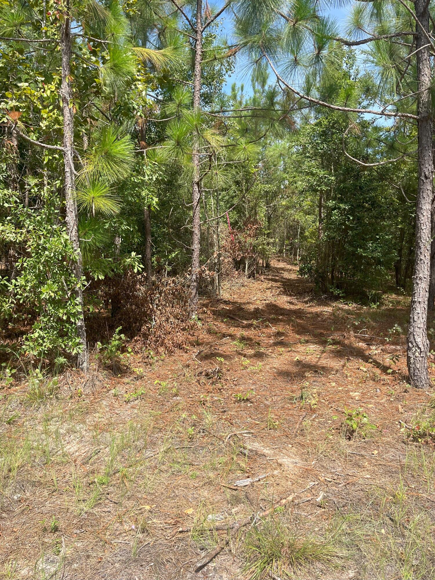 Ppf 6 Payne Pond Road Ppf 6