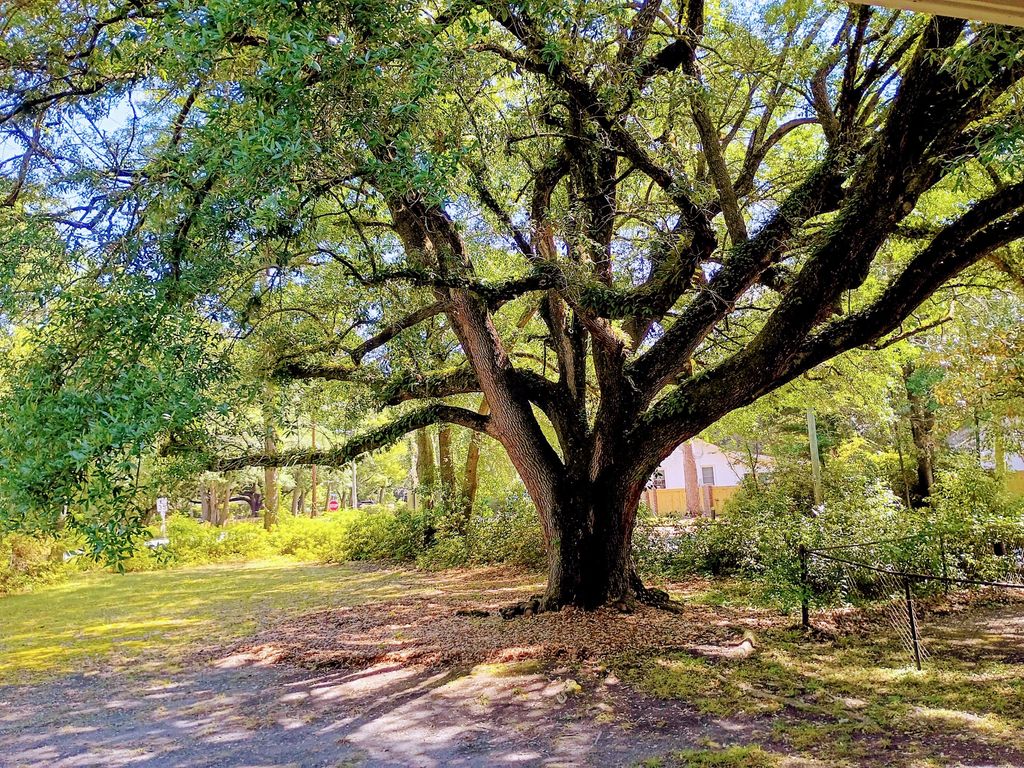 Photo of 100 Old Country Club Road, Summerville, SC 29483 (MLS # 26012735)