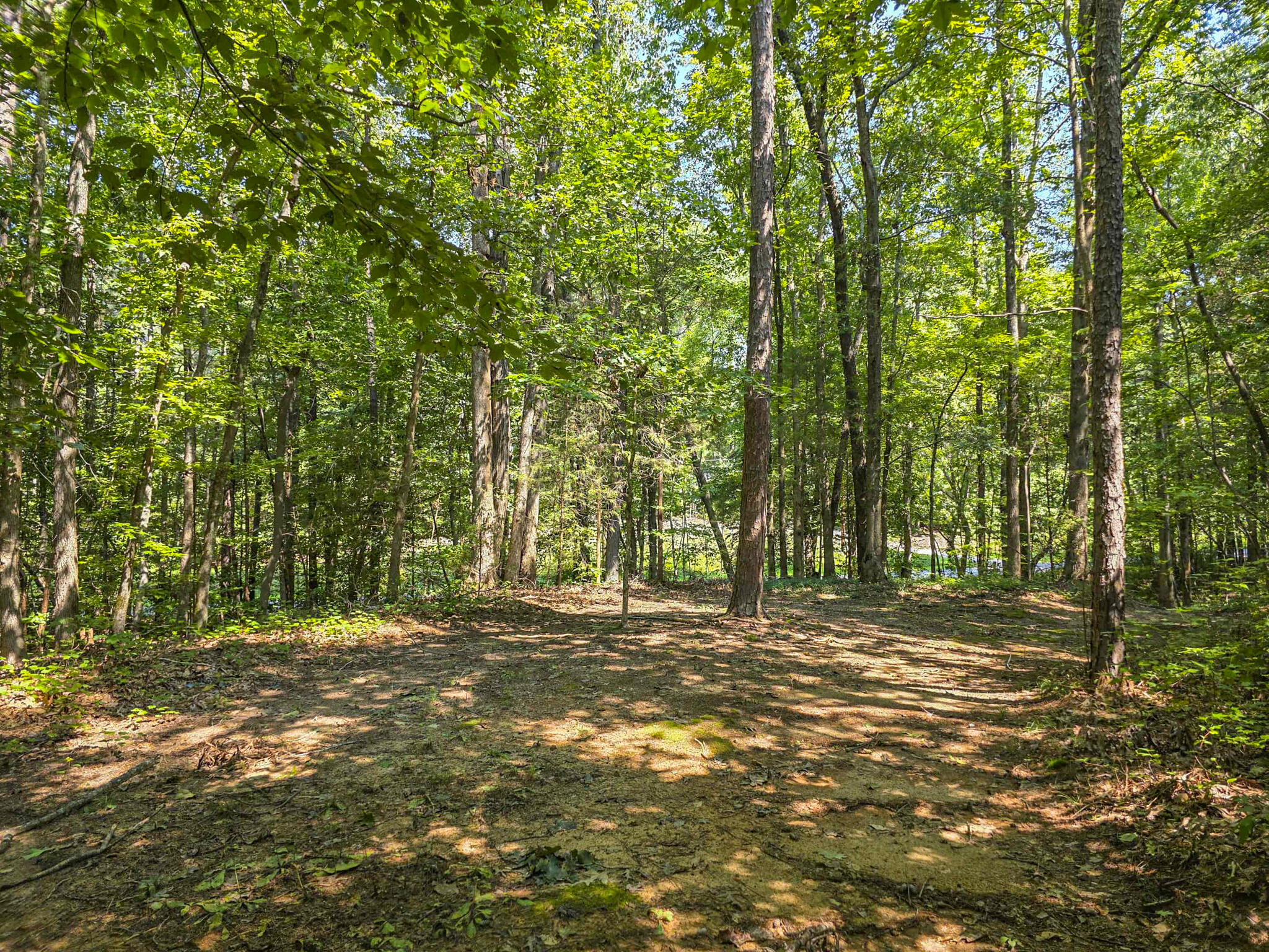 1643 Rebel Rebel Creek Road