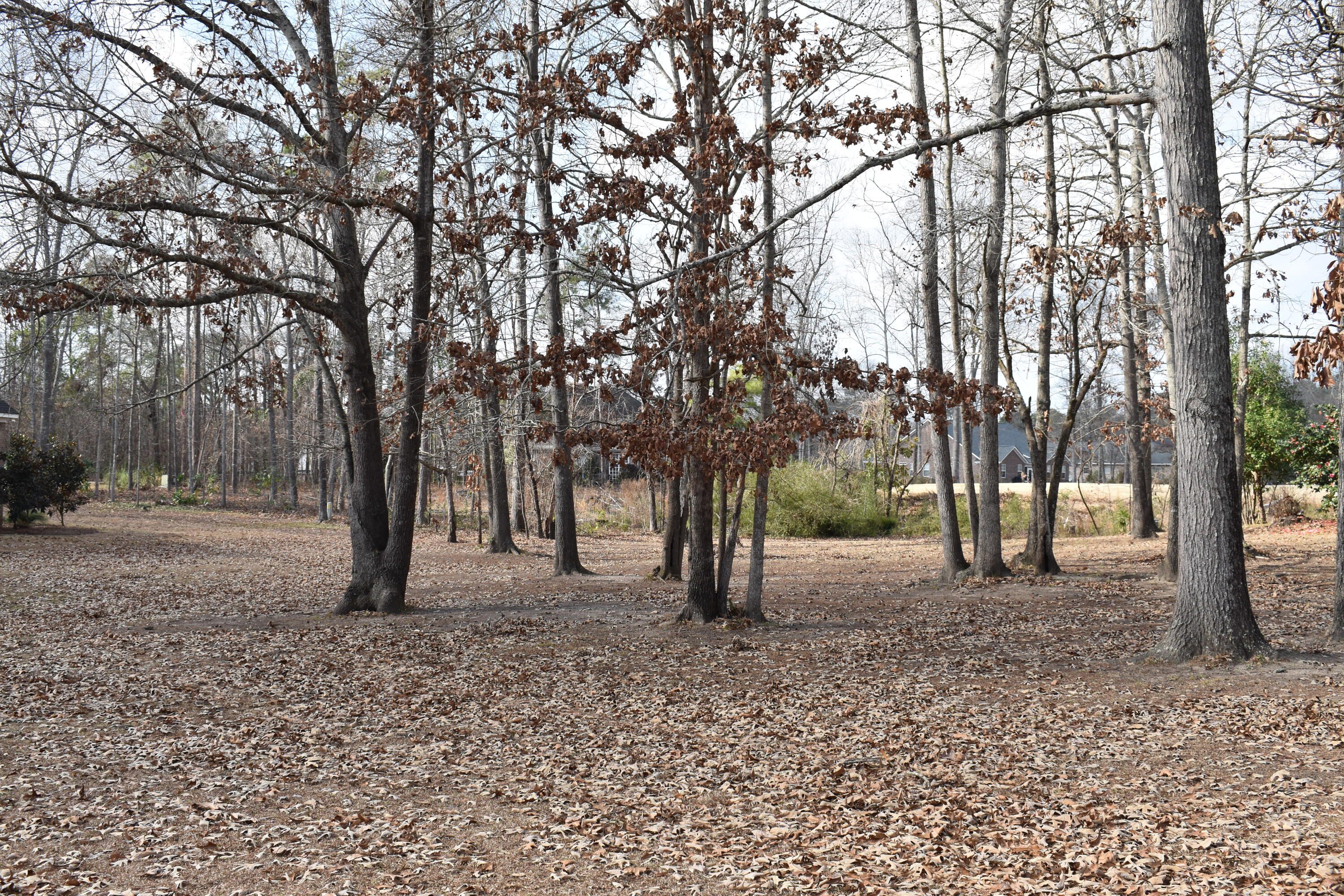 50 North Lake Circle