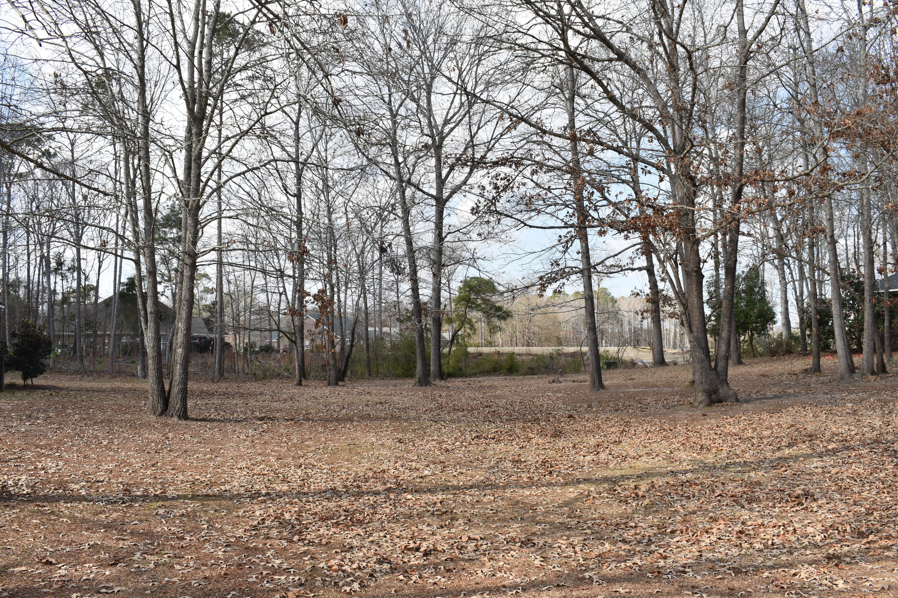 50 North Lake Circle