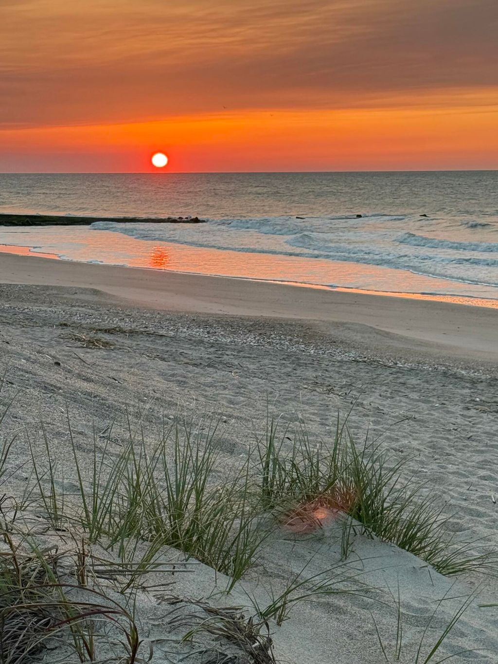 Photo of 3113 Palmetto Boulevard, Edisto Island, SC 29438 (MLS # 25030764)