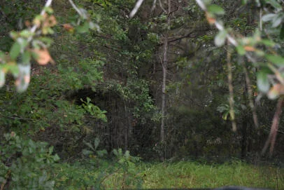 80 Thompson Road, Hemingway, SC, 29554