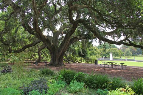 A home in Charleston