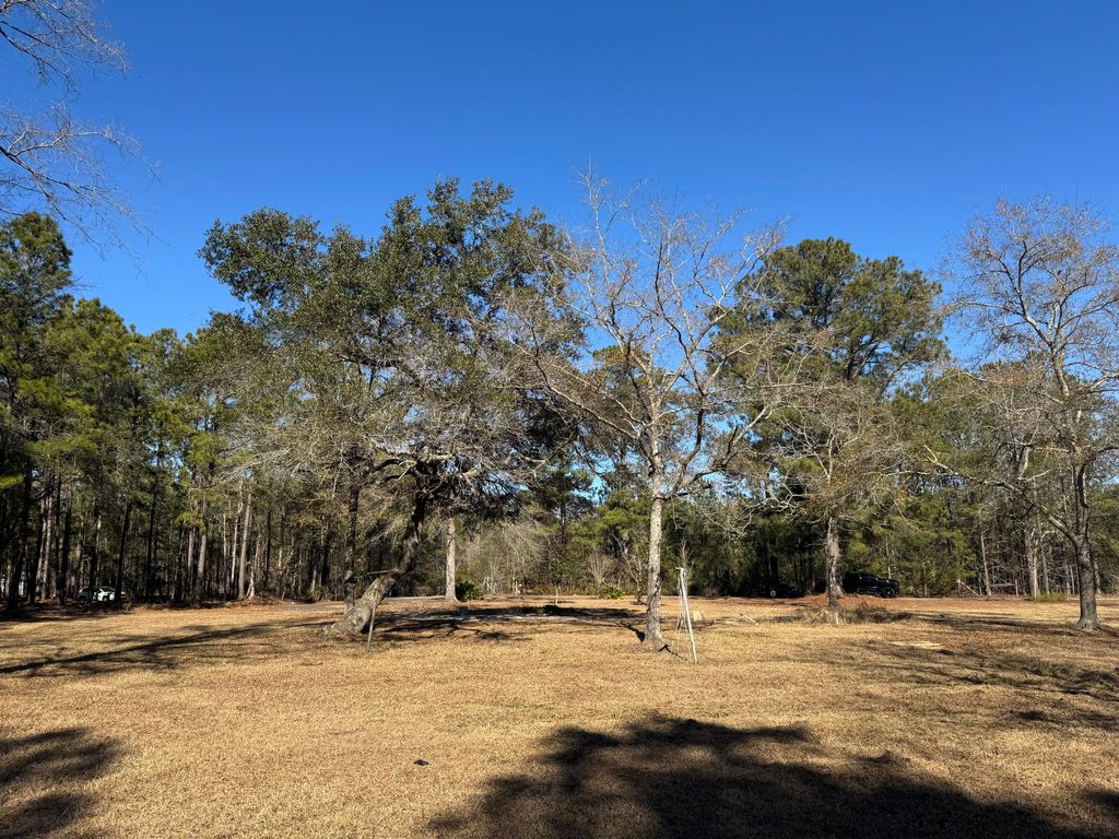 Photo of 0 Brewer Road, Summerville, SC 29483 (MLS # 25024583)