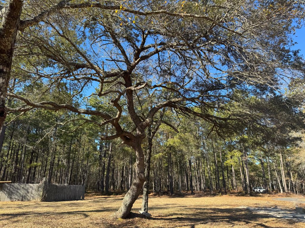 Photo of 0 Brewer Road, Summerville, SC 29483 (MLS # 25024583)