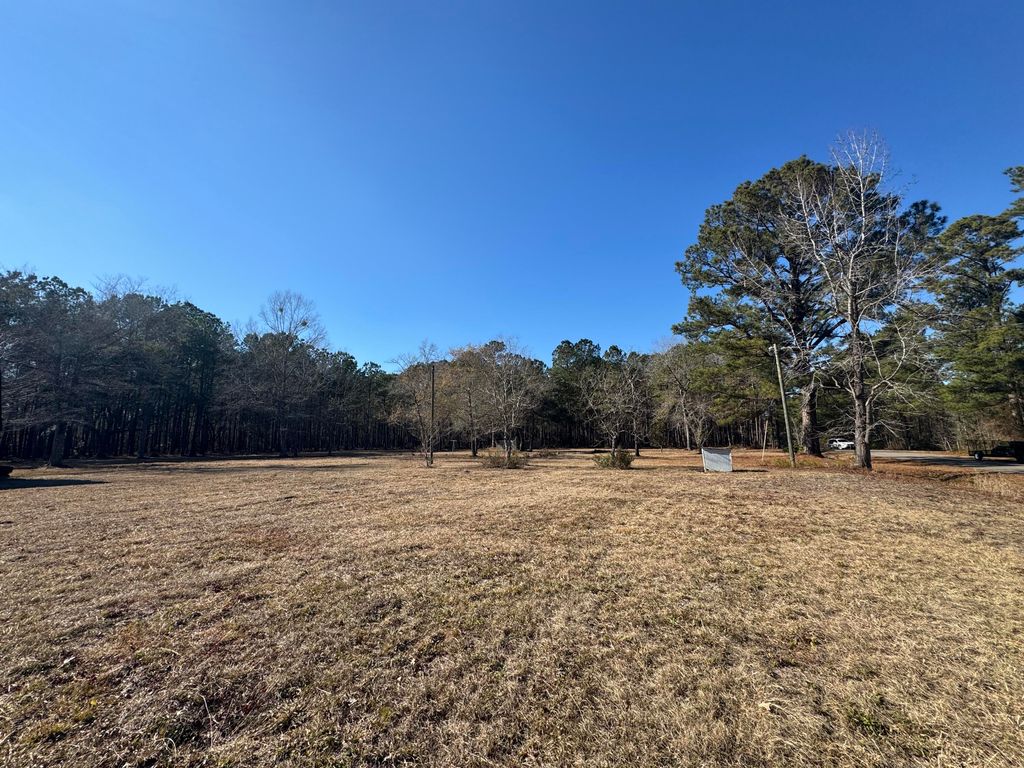 Photo of 0 Brewer Road, Summerville, SC 29483 (MLS # 25024583)