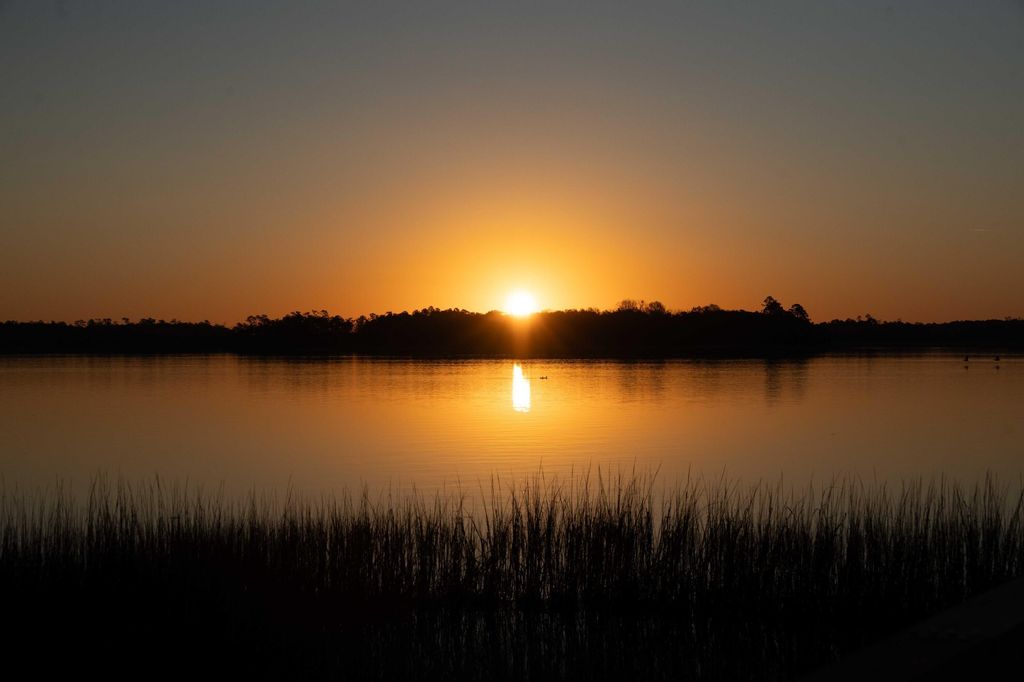 Photo of 124 Fairbanks Drive, Daniel Island, SC 29492 (MLS # 26003946)