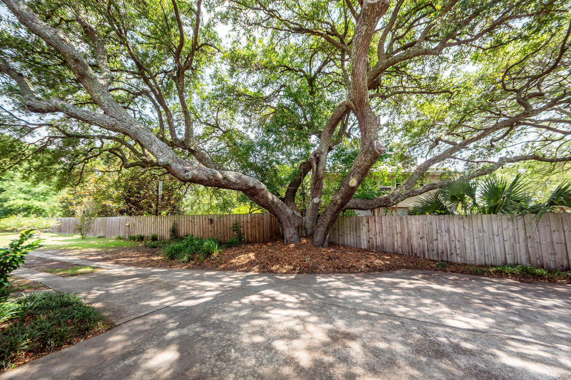 1648 Secessionville Road
