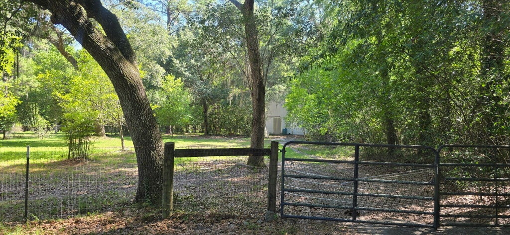 Photo of 974 Spruce Street, Allendale, SC 29810 (MLS # 26020977)