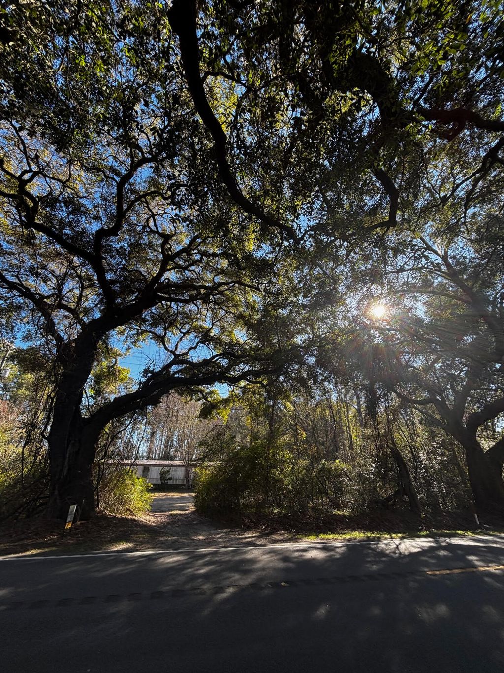 Photo of 3969 River Road, Johns Island, SC 29455 (MLS # 26004094)