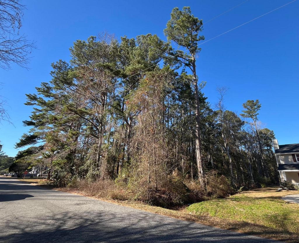 Photo of 228 Wilson Drive, Summerville, SC 29483 (MLS # 25033010)