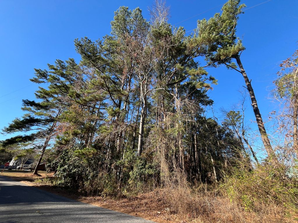 Photo of 228 Wilson Drive, Summerville, SC 29483 (MLS # 25033010)