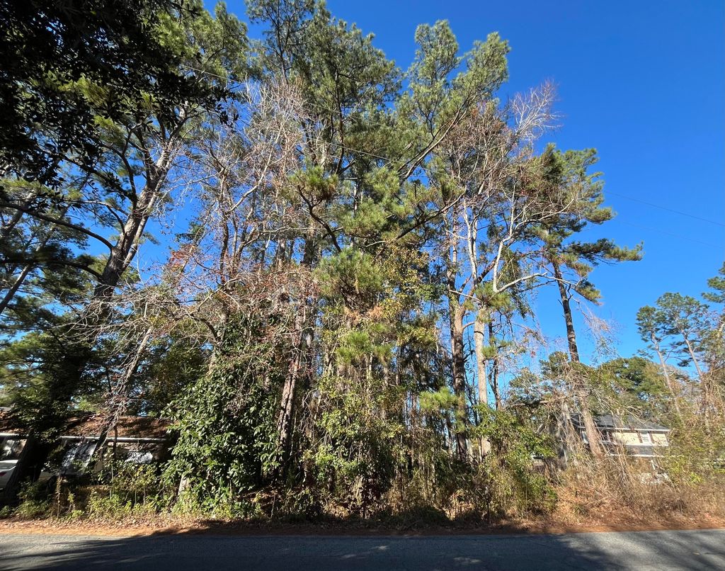 Photo of 228 Wilson Drive, Summerville, SC 29483 (MLS # 25033010)