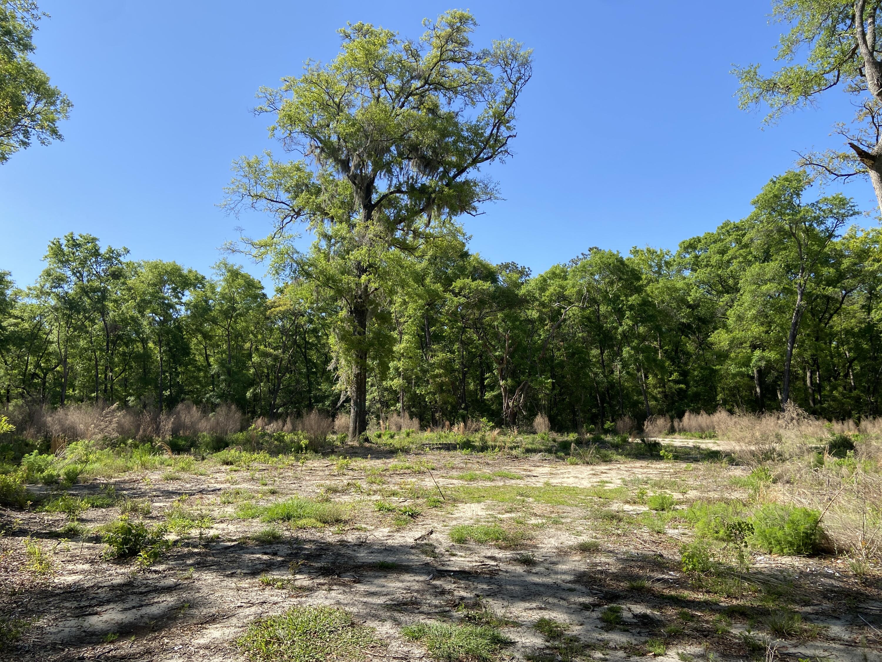 6079 Josie Ridge Road