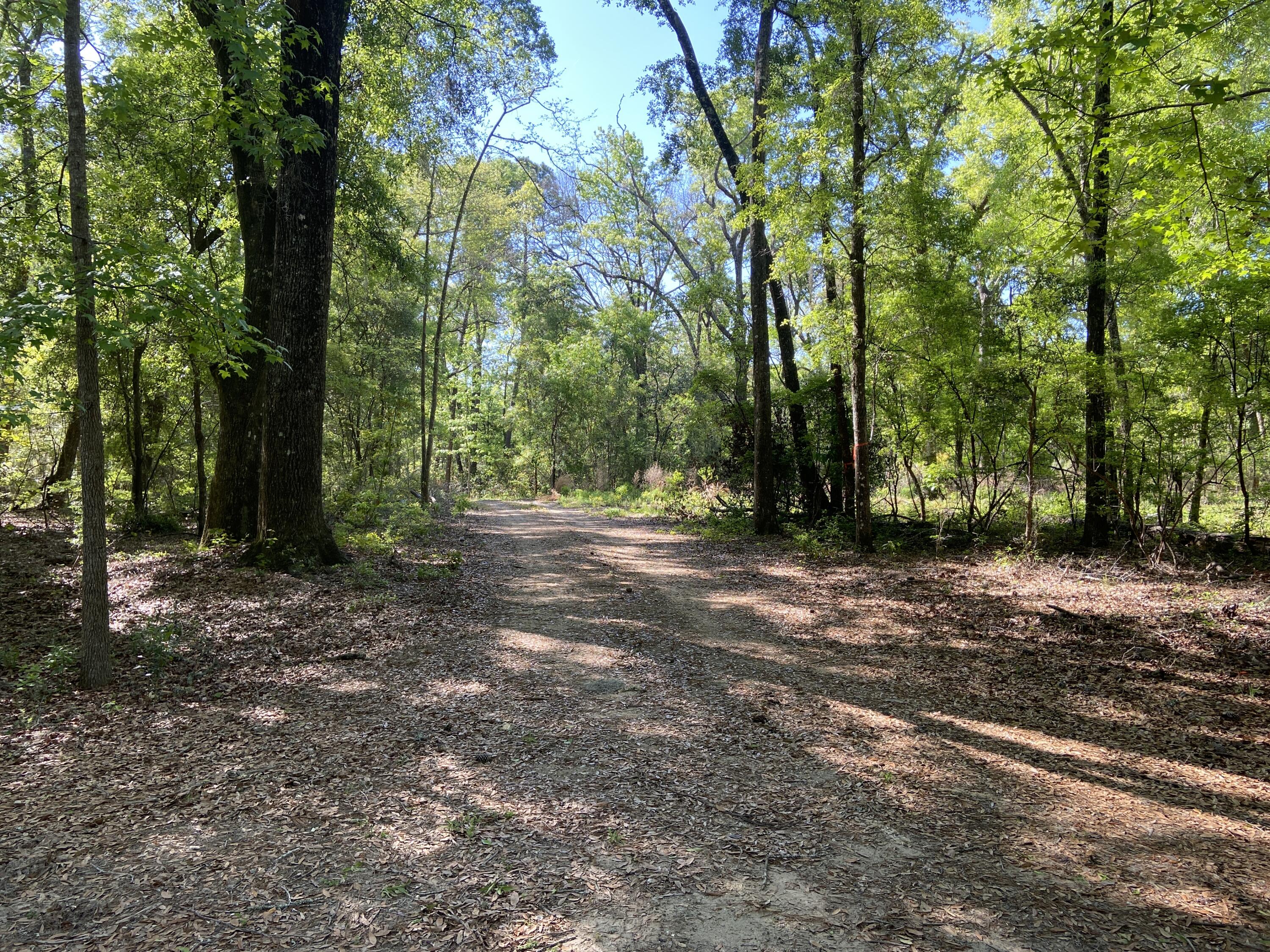 6079 Josie Ridge Road