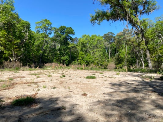 6079 JOSIE RIDGE RD, WADMALAW ISLAND, SC 29487 - Image 41f5b1c9c057cf2ebf75a5bc9e1abc2e/2597320804