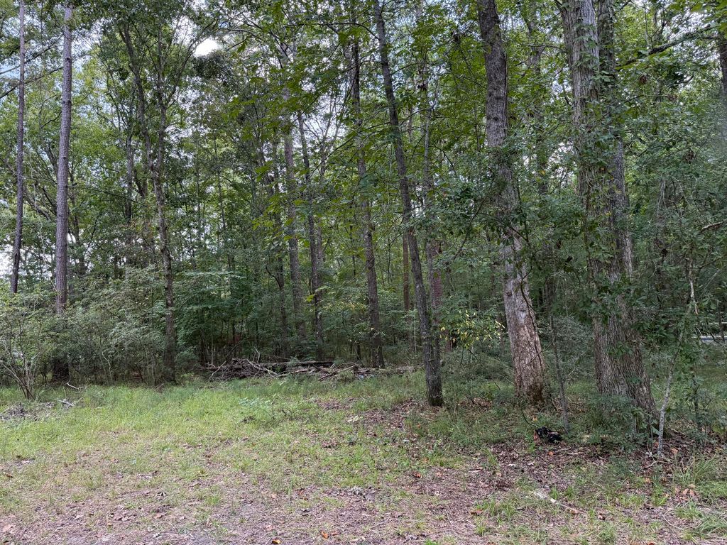 Photo of 1151 -1b Orangeburg Road, Summerville, SC 29483 (MLS # 25021946)