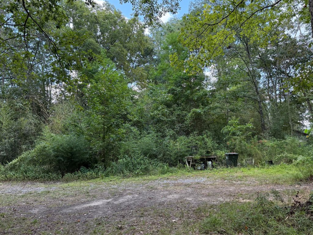Photo of 1151 -1b Orangeburg Road, Summerville, SC 29483 (MLS # 25021946)