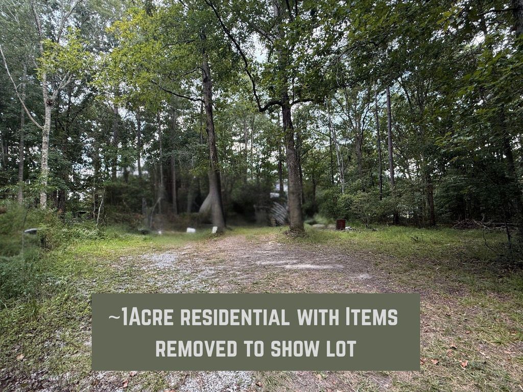 Photo of 1151 -1b Orangeburg Road, Summerville, SC 29483 (MLS # 25021946)