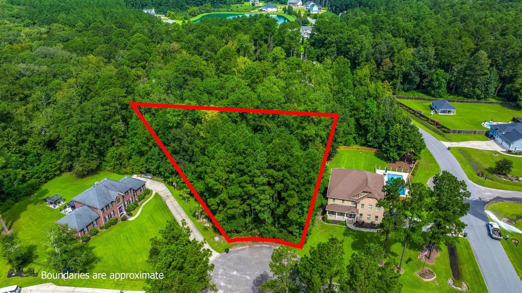 Photo of 1202 Jump Seed Court, Moncks Corner, SC 29461 (MLS # 25024063)