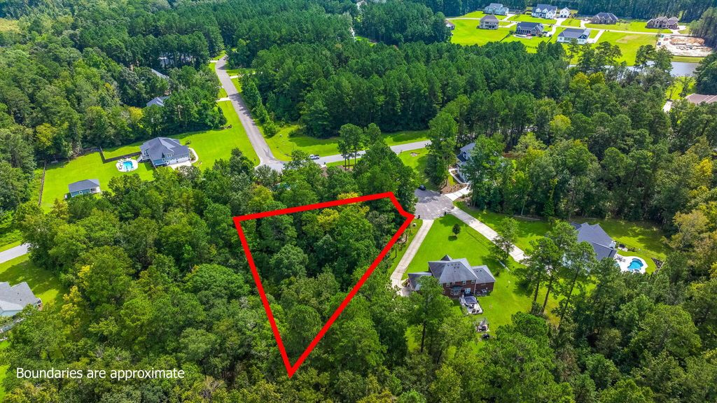 Photo of 1202 Jump Seed Court, Moncks Corner, SC 29461 (MLS # 25024063)