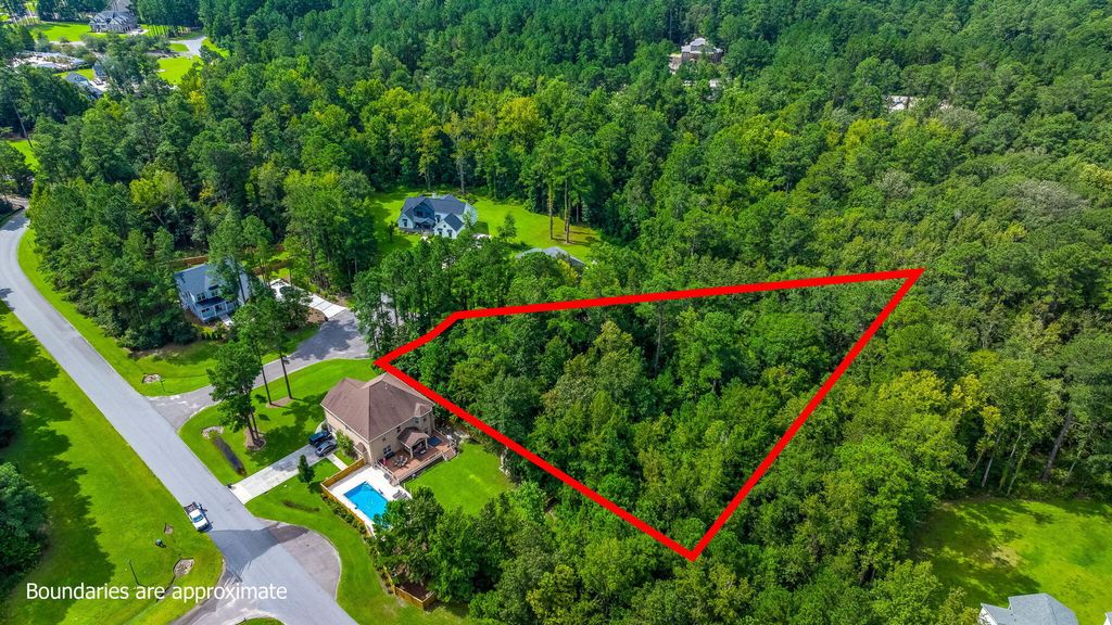 Photo of 1202 Jump Seed Court, Moncks Corner, SC 29461 (MLS # 25024063)