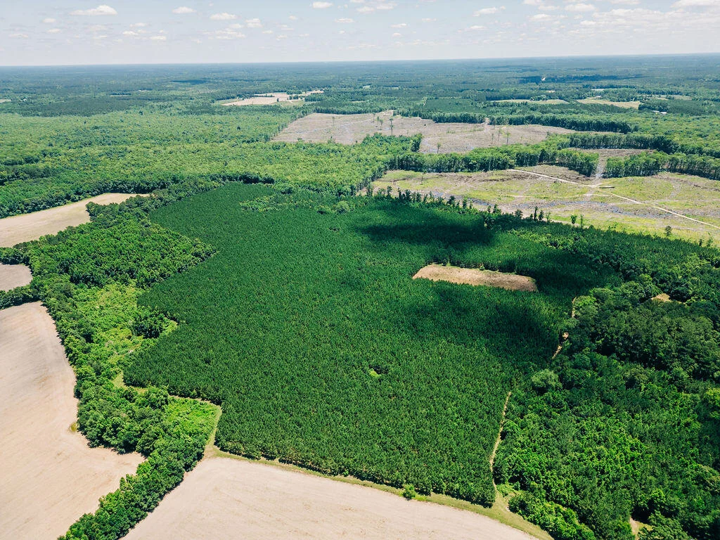 0000 Varnadoe Road, Islandton, SC, 29929