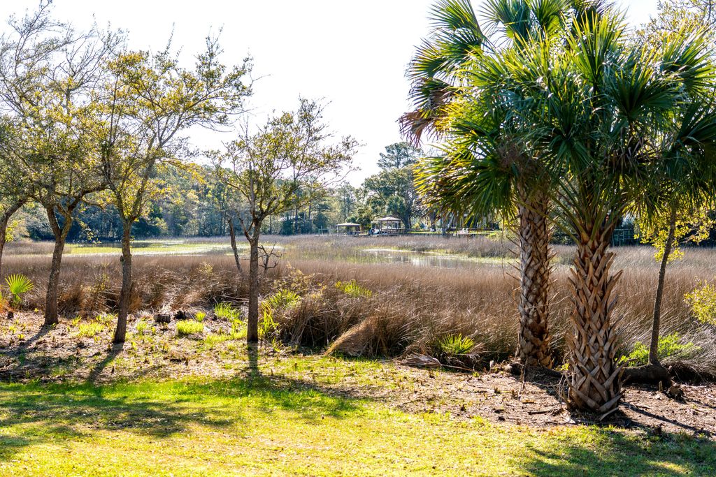 Photo of 1476 Harbor Mist Court, Charleston, SC 29492 (MLS # 26007639)