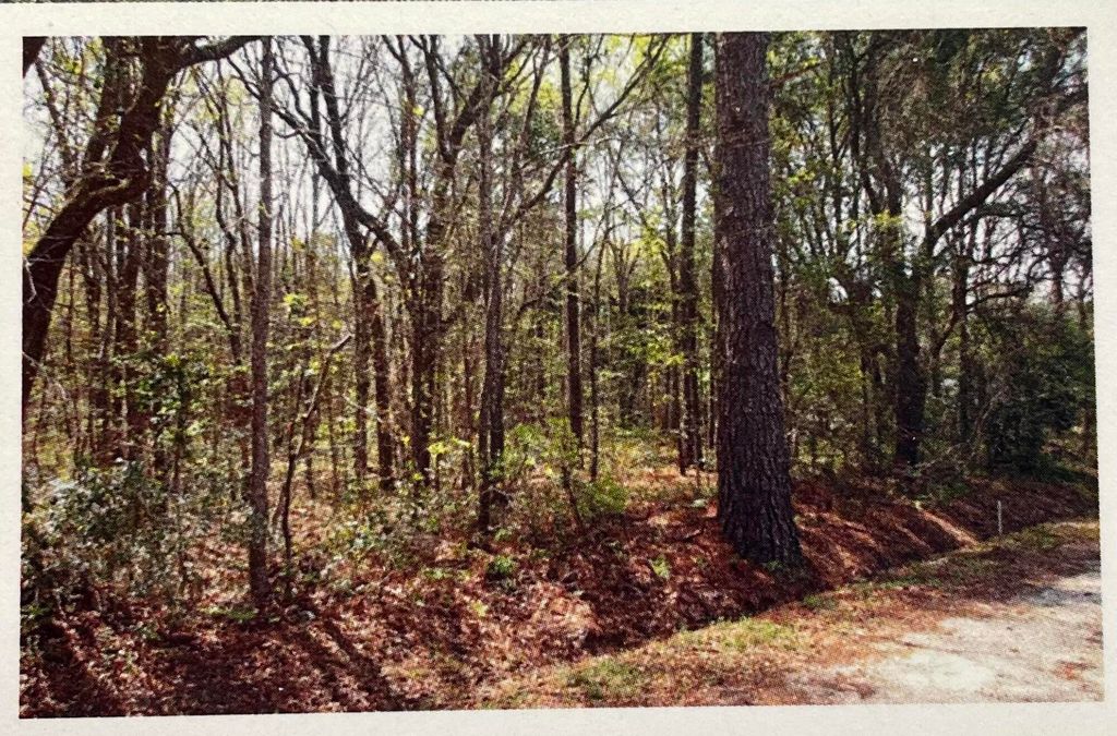 Photo of 1690 Highway 41, Mount Pleasant, SC 29466 (MLS # 23002274)