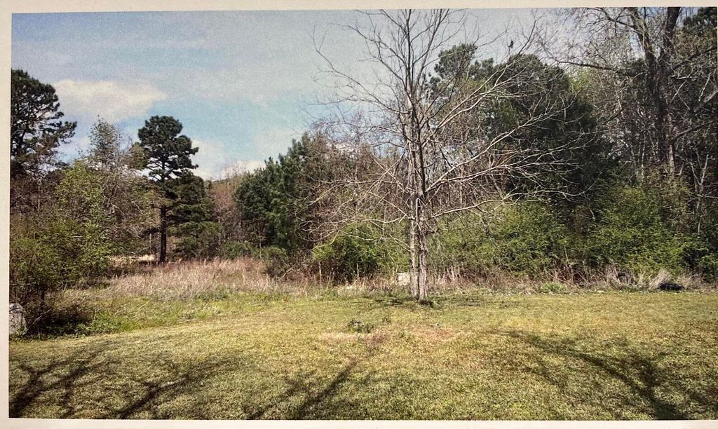 Photo of 1690 Highway 41, Mount Pleasant, SC 29466 (MLS # 23002274)