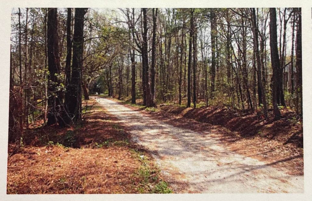 Photo of 1690 Highway 41, Mount Pleasant, SC 29466 (MLS # 23002274)