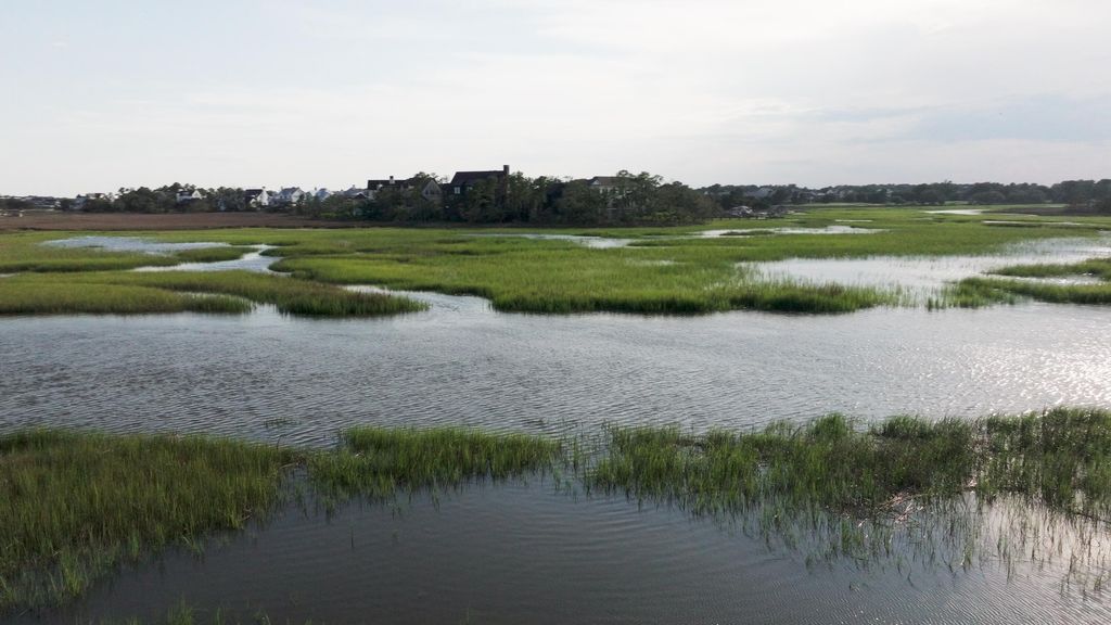 Photo of 1149 Ship Builder Street, Daniel Island, SC 29492 (MLS # 25024148)