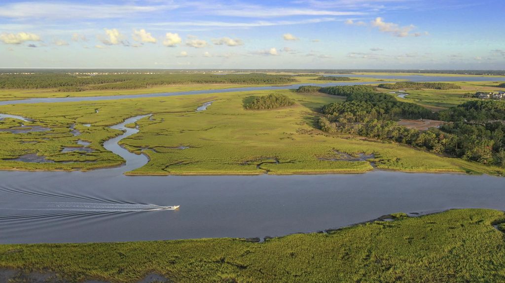 Photo of 1149 Ship Builder Street, Daniel Island, SC 29492 (MLS # 25024148)