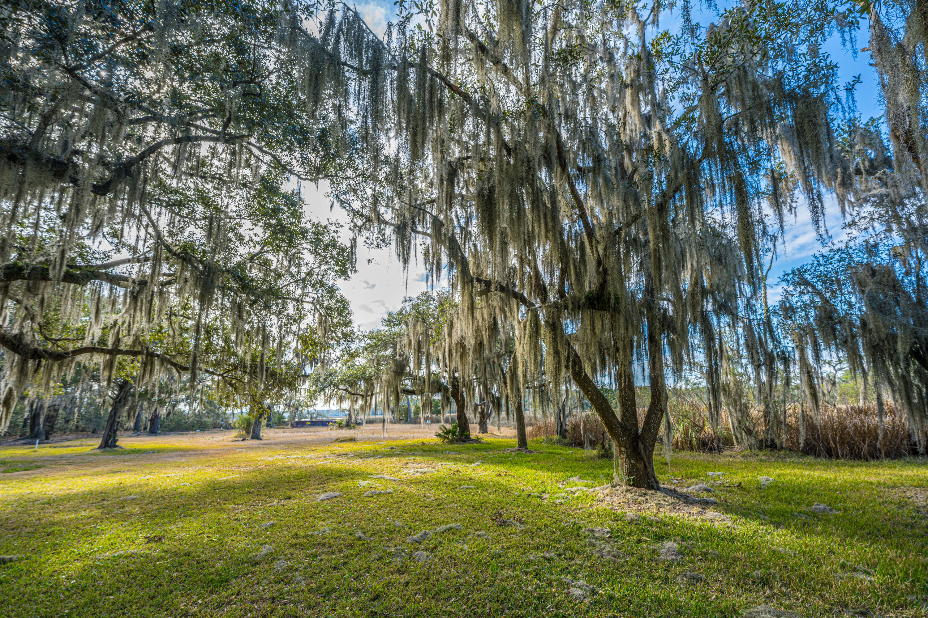 4107 Davison Road