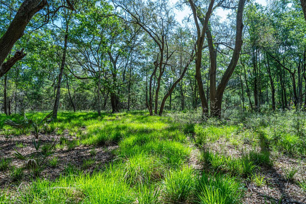 Photo of Lot 2 King Rail Lane, Edisto Island, SC 29438 (MLS # 25013662)