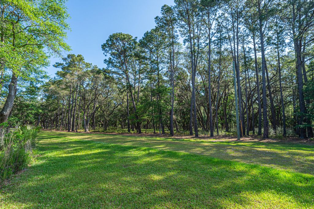Photo of Lot 2 King Rail Lane, Edisto Island, SC 29438 (MLS # 25013662)