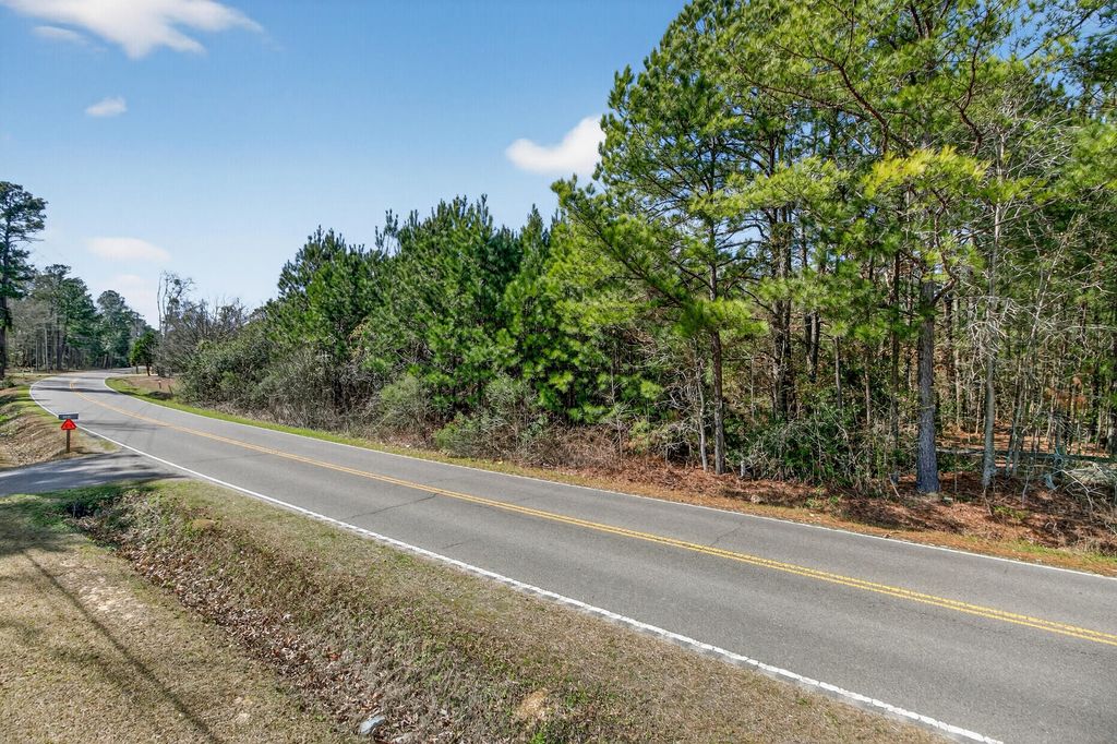 Photo of 00 E Butternut Road, Summerville, SC 29483 (MLS # 26006695)