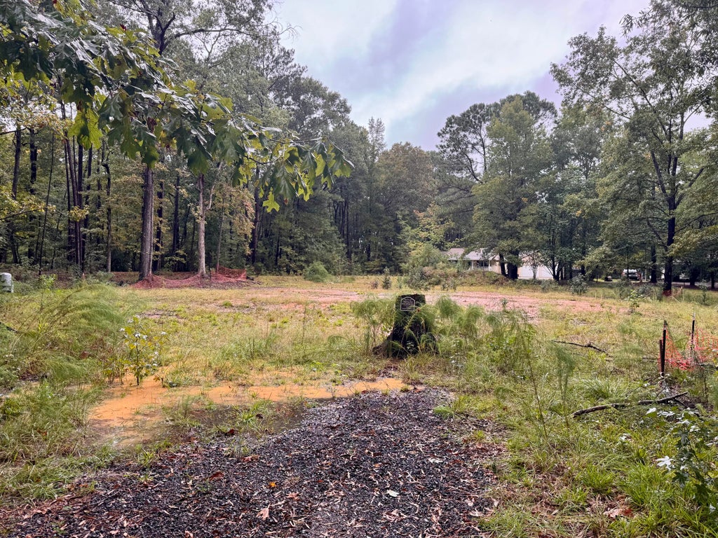 Photo of 300 Summerset Lane, Summerville, SC 29483 (MLS # 26027520)