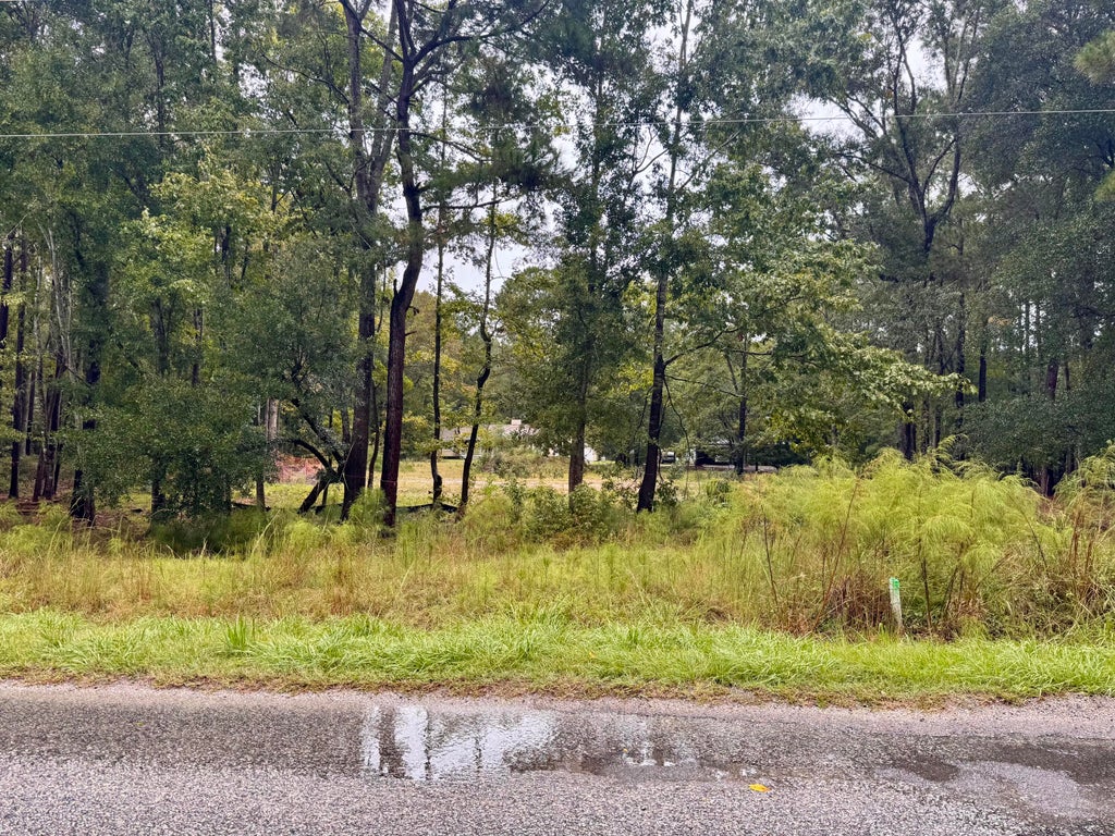 Photo of 300 Summerset Lane, Summerville, SC 29483 (MLS # 26027520)