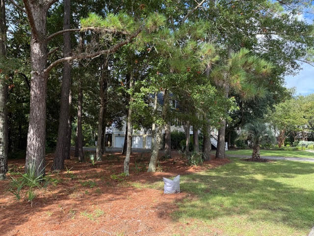 1501 Rice Marsh Court