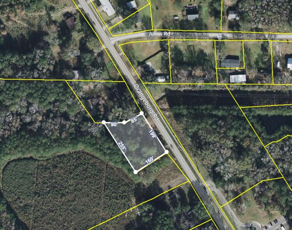 Photo of 767 Orangeburg Road, Summerville, SC 29483 (MLS # 25022907)