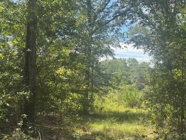 1651, 1571 Creek Mill Road