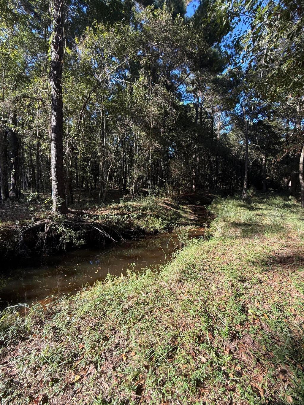 Photo of 736 Wilson Cemetery Road, Awendaw, SC 29429 (MLS # 25026989)