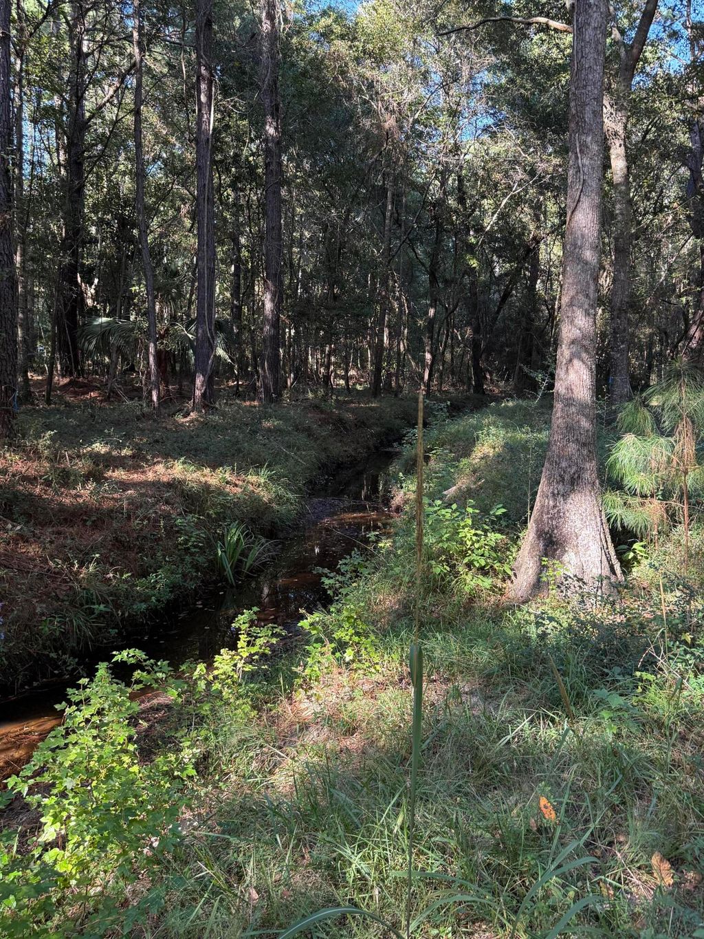 Photo of 736 Wilson Cemetery Road, Awendaw, SC 29429 (MLS # 25026989)