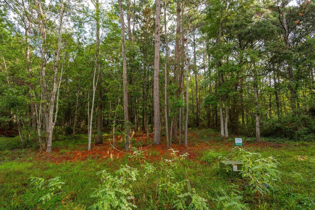 Photo of 736 Wilson Cemetery Road, Awendaw, SC 29429 (MLS # 25026989)