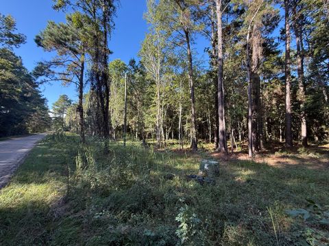 Photo of 736 Wilson Cemetery Road, Awendaw, SC 29429 (MLS # 25026989)
